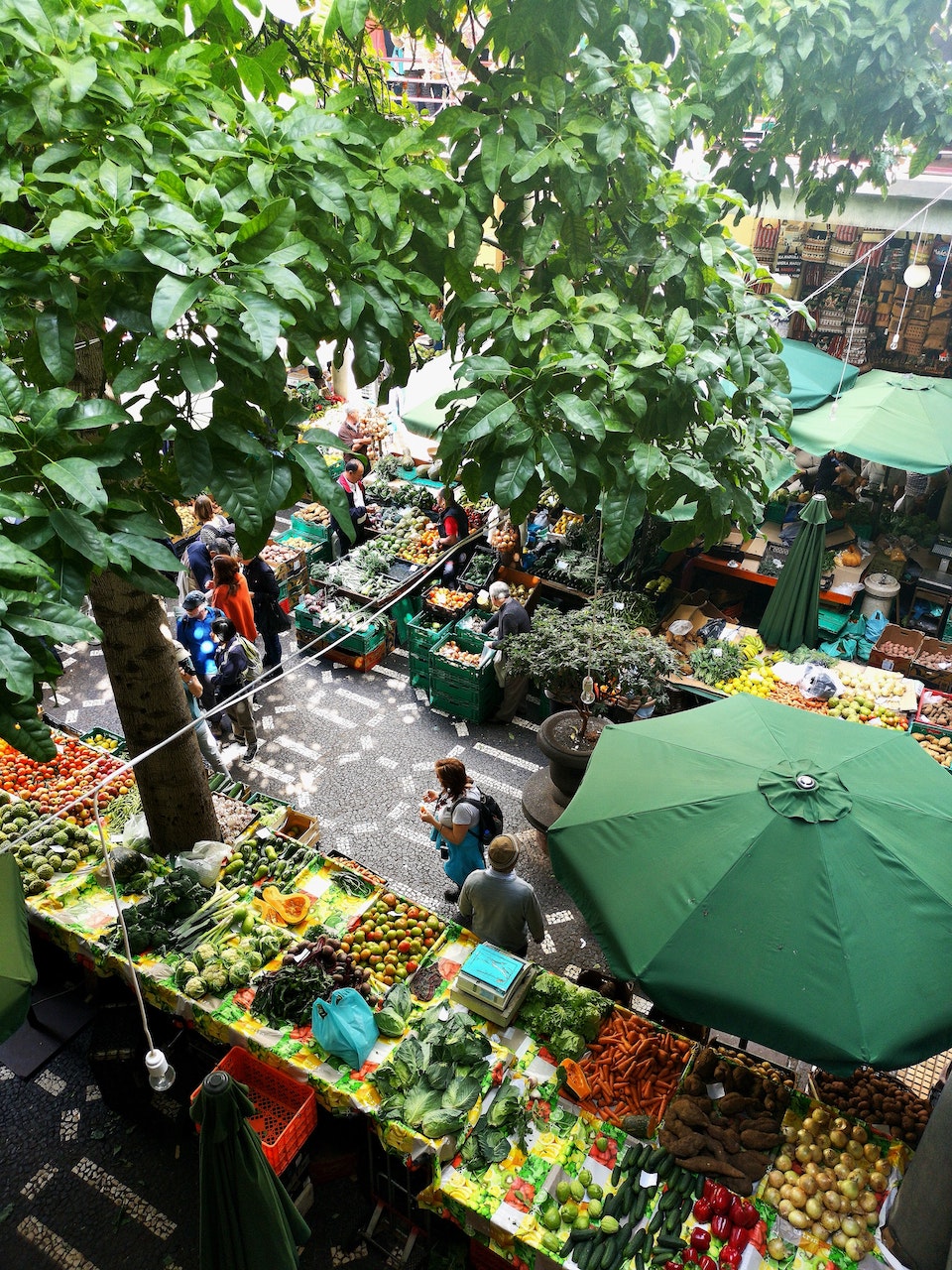 CocoVail Wings at the Palo Alto Market in Barcelona